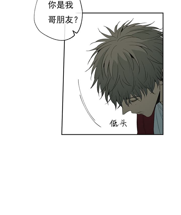 《同情的形式（共3季）》漫画最新章节第67话_解围免费下拉式在线观看章节第【14】张图片