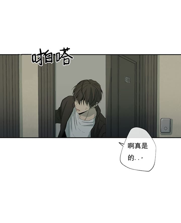 《同情的形式（共3季）》漫画最新章节第68话_去而又返免费下拉式在线观看章节第【3】张图片