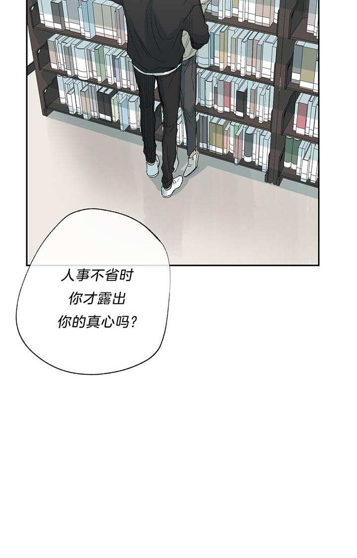 《同情的形式（共3季）》漫画最新章节第74话_过分免费下拉式在线观看章节第【18】张图片