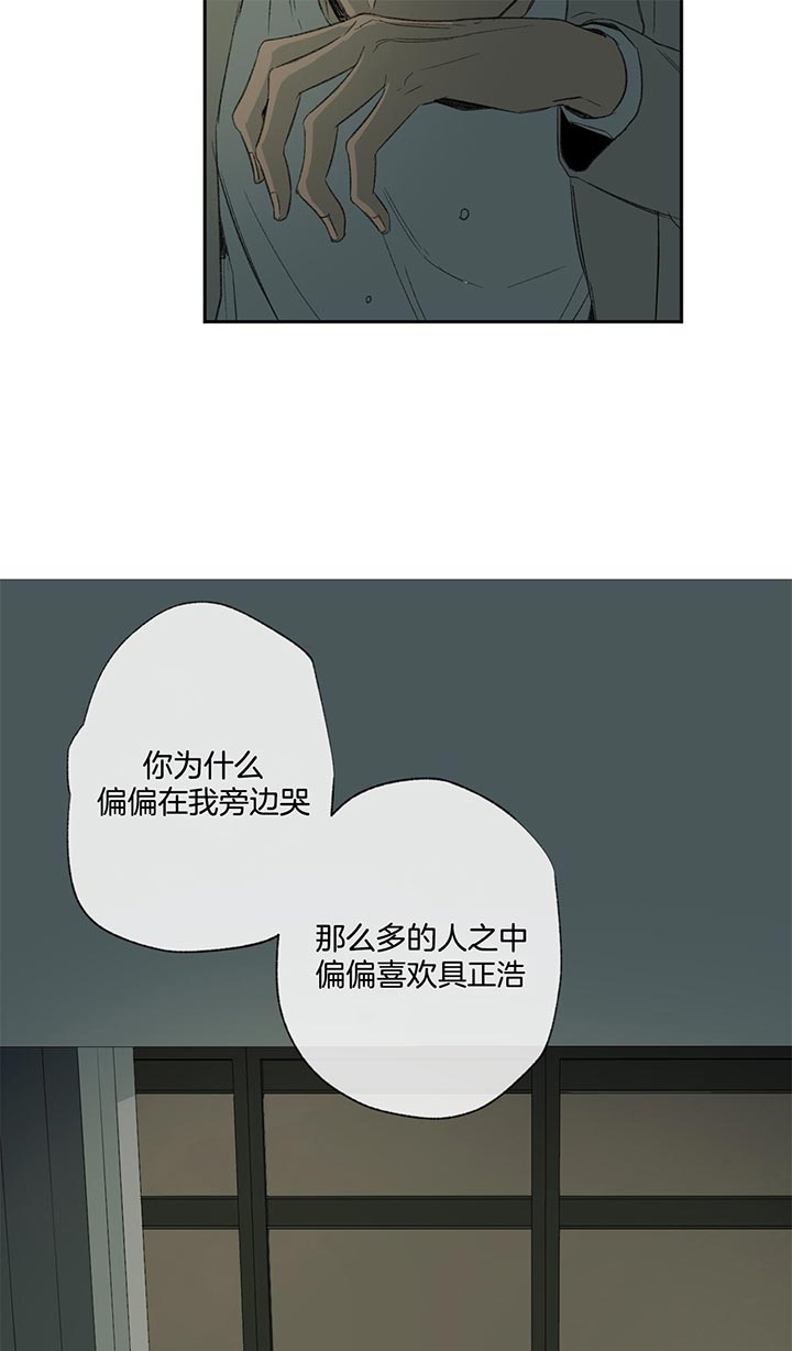 《同情的形式（共3季）》漫画最新章节第80话_偏偏免费下拉式在线观看章节第【6】张图片