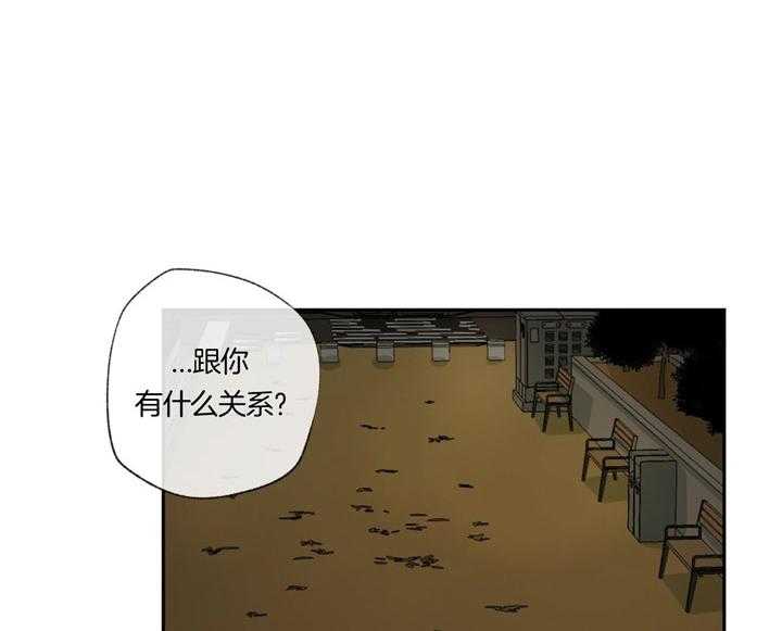 《同情的形式（共3季）》漫画最新章节第90话_迫切免费下拉式在线观看章节第【17】张图片