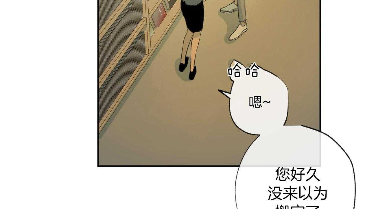 《同情的形式（共3季）》漫画最新章节第93话_谎言免费下拉式在线观看章节第【66】张图片