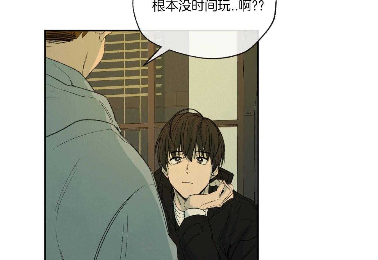 《同情的形式（共3季）》漫画最新章节第97话_校园暴力免费下拉式在线观看章节第【48】张图片