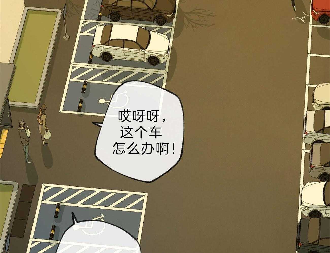 《同情的形式（共3季）》漫画最新章节第131话_事实免费下拉式在线观看章节第【51】张图片