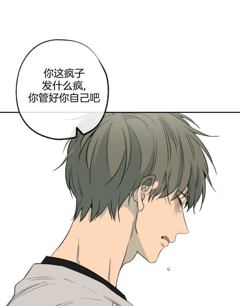 《同情的形式（共3季）》漫画最新章节第177话_管好自己免费下拉式在线观看章节第【15】张图片