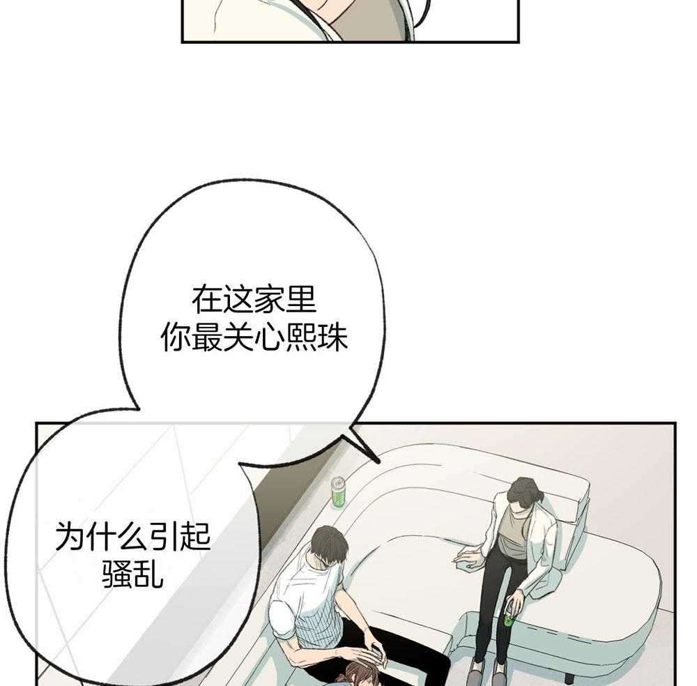 《同情的形式（共3季）》漫画最新章节第186话_太过小心翼翼免费下拉式在线观看章节第【30】张图片