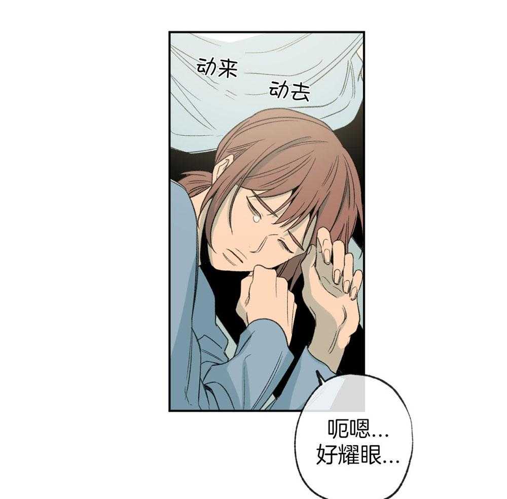 《同情的形式（共3季）》漫画最新章节第186话_太过小心翼翼免费下拉式在线观看章节第【34】张图片