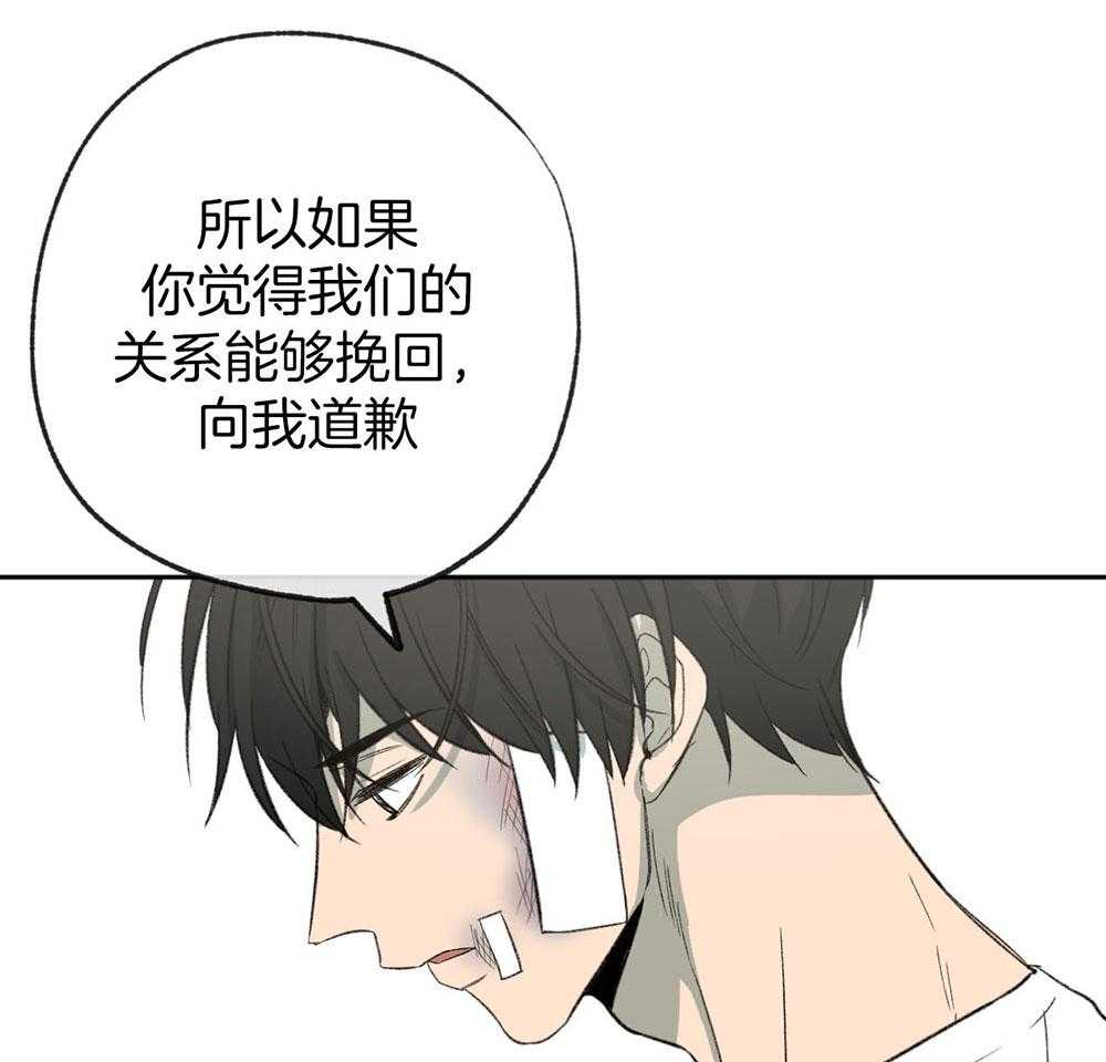 《同情的形式（共3季）》漫画最新章节第187话_说不出口的歉意免费下拉式在线观看章节第【18】张图片