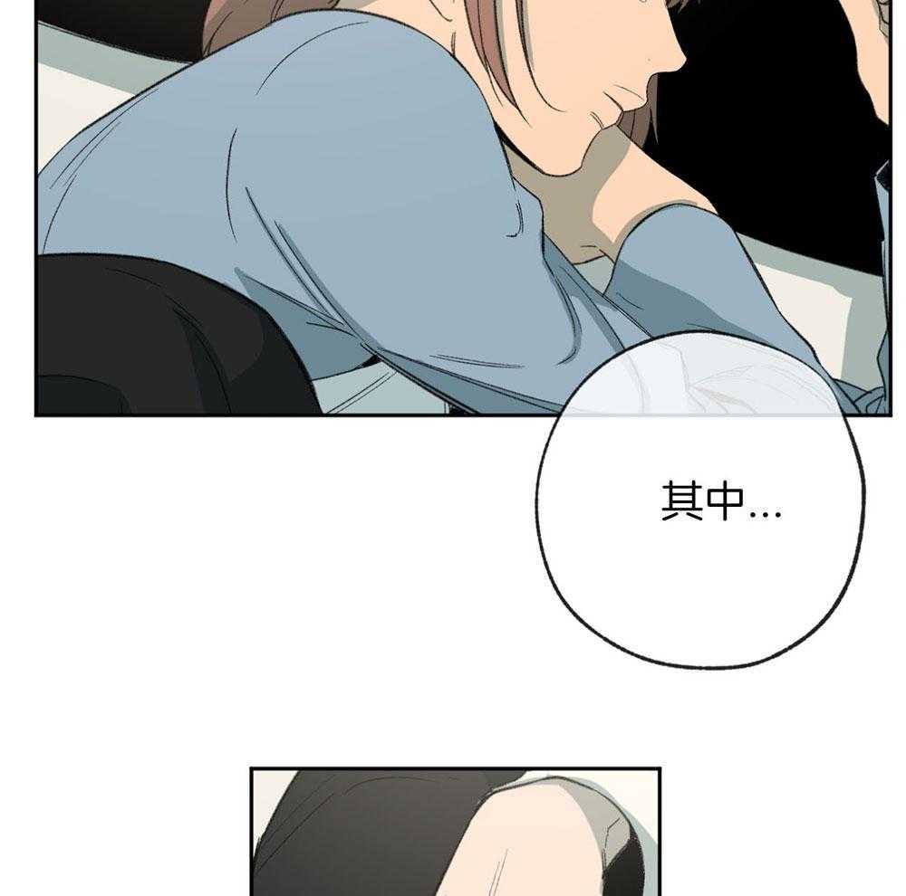 《同情的形式（共3季）》漫画最新章节第187话_说不出口的歉意免费下拉式在线观看章节第【36】张图片