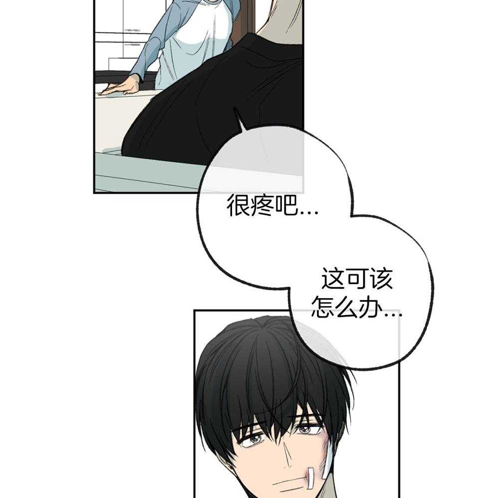 《同情的形式（共3季）》漫画最新章节第188话_不用担心免费下拉式在线观看章节第【24】张图片