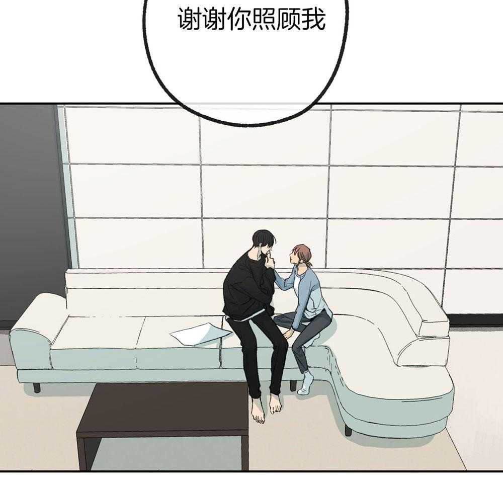 《同情的形式（共3季）》漫画最新章节第188话_不用担心免费下拉式在线观看章节第【17】张图片