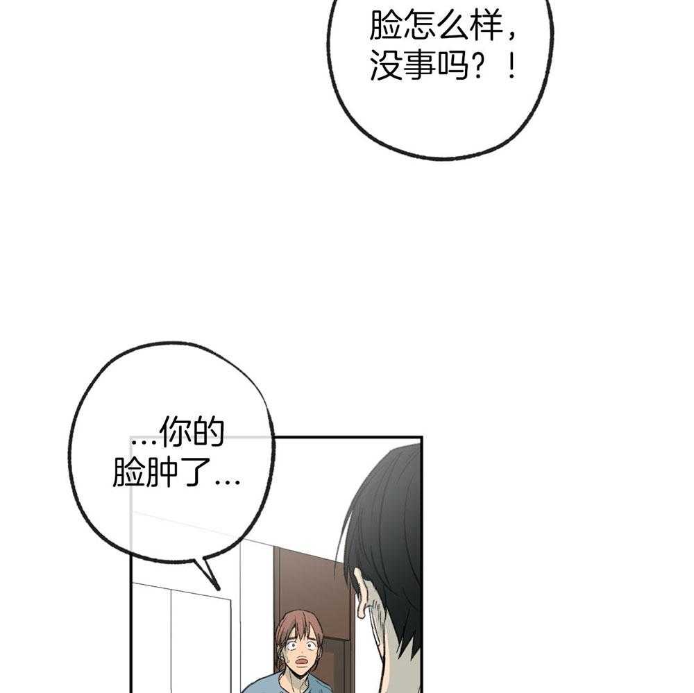 《同情的形式（共3季）》漫画最新章节第188话_不用担心免费下拉式在线观看章节第【25】张图片