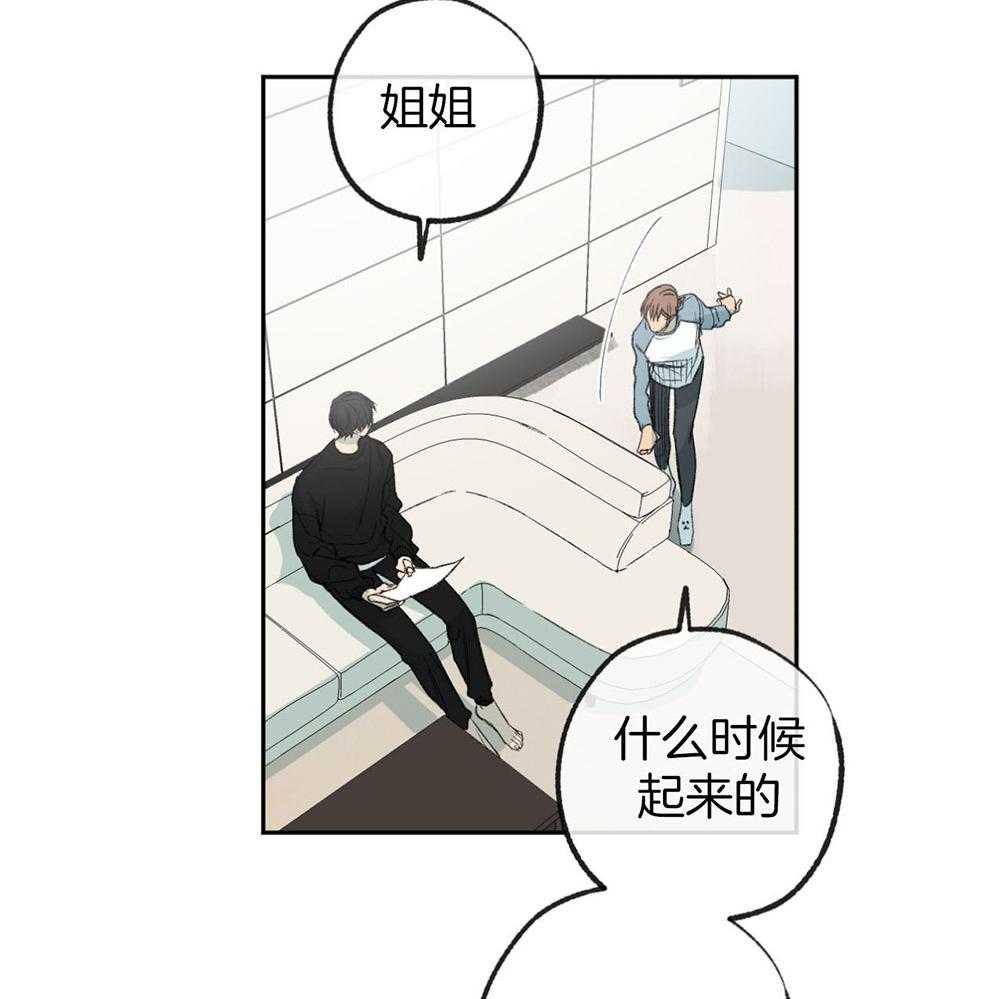 《同情的形式（共3季）》漫画最新章节第188话_不用担心免费下拉式在线观看章节第【26】张图片