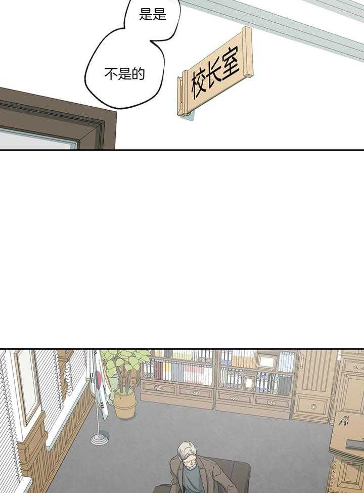 《同情的形式（共3季）》漫画最新章节第190话_不用了免费下拉式在线观看章节第【29】张图片