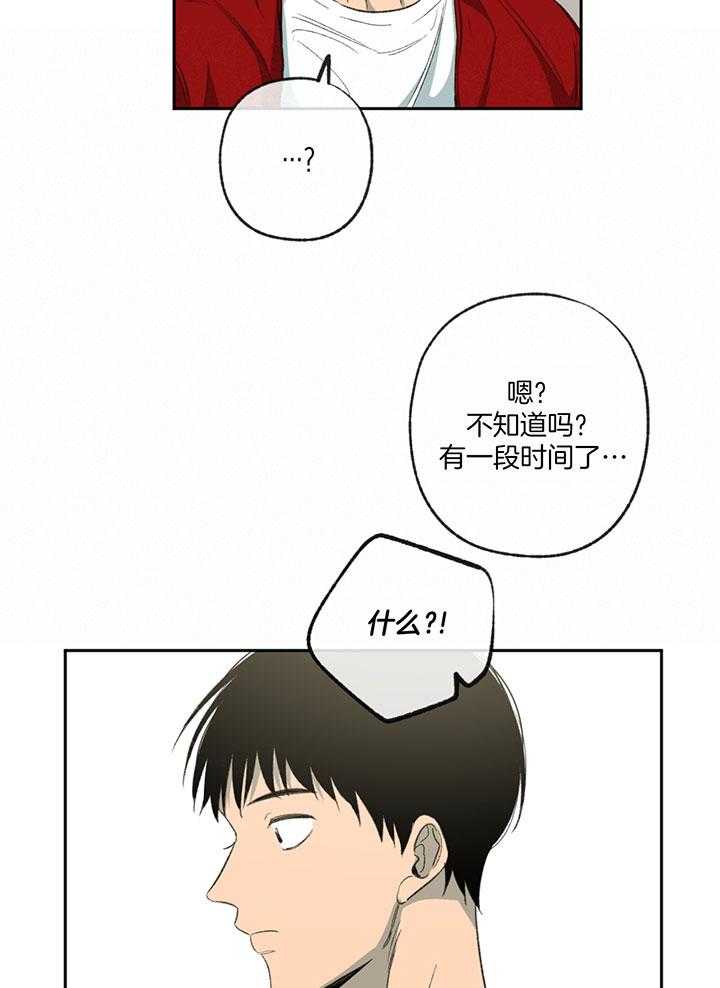 《同情的形式（共3季）》漫画最新章节第192话_他辞职了免费下拉式在线观看章节第【22】张图片