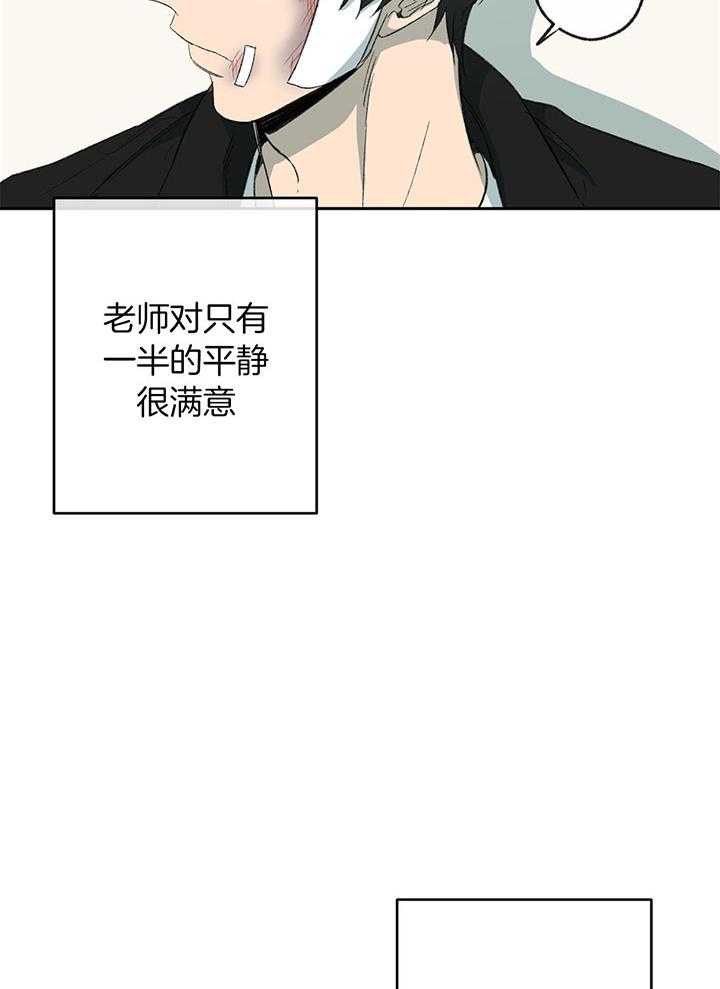 《同情的形式（共3季）》漫画最新章节第197话_平静的生活免费下拉式在线观看章节第【15】张图片