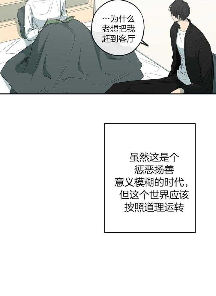 《同情的形式（共3季）》漫画最新章节第197话_平静的生活免费下拉式在线观看章节第【13】张图片