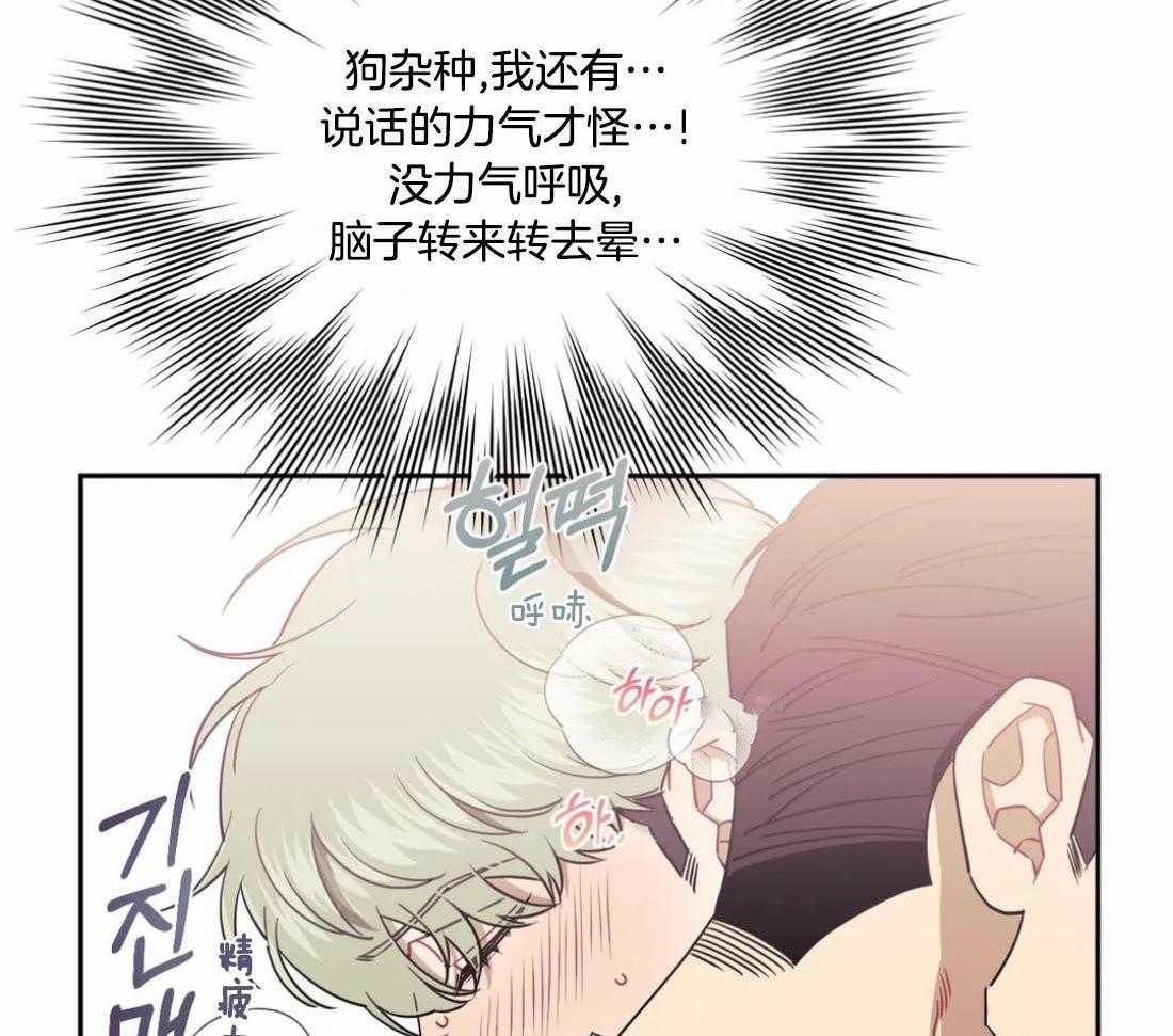 《假定关系》漫画最新章节第86话_谁同意结束了（番外）免费下拉式在线观看章节第【20】张图片