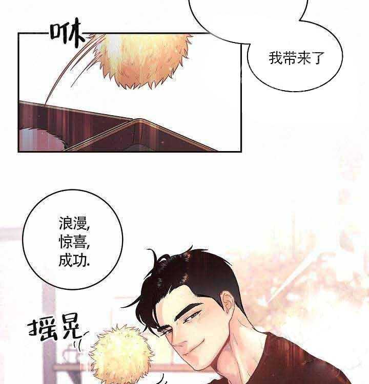 《勾引alpha的方法（全集）》漫画最新章节第74话_带来了免费下拉式在线观看章节第【4】张图片