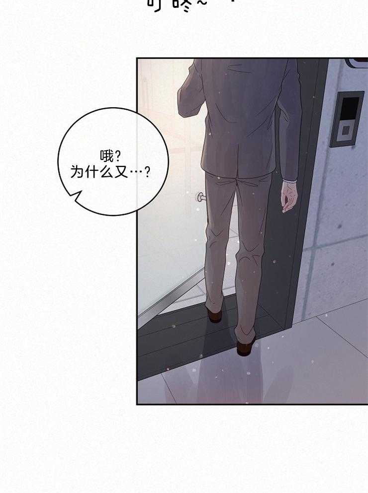 《勾引alpha的方法（全集）》漫画最新章节第162话_委托免费下拉式在线观看章节第【6】张图片