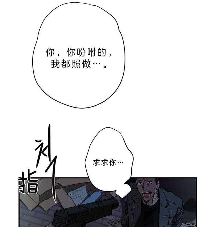 《不夜城（共2季）》漫画最新章节第64话_垃圾免费下拉式在线观看章节第【5】张图片