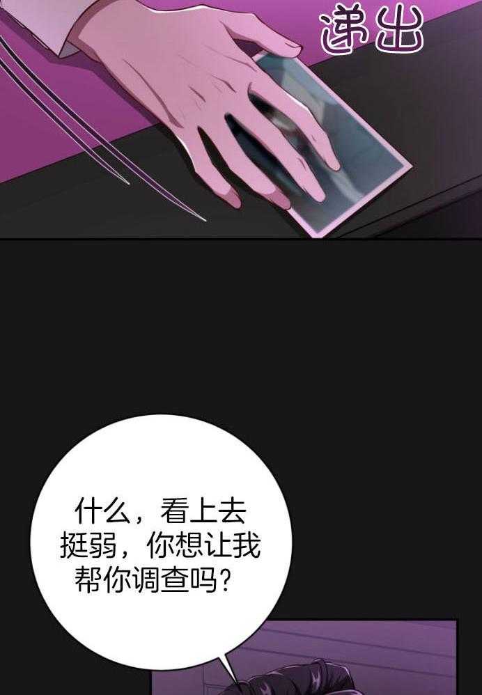 《不夜城（共2季）》漫画最新章节第135话_预谋免费下拉式在线观看章节第【10】张图片