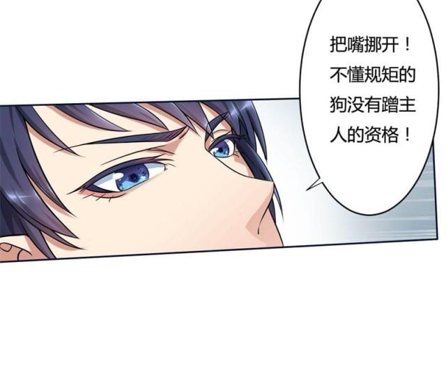 《总裁的私有小秘》漫画最新章节第1话免费下拉式在线观看章节第【30】张图片