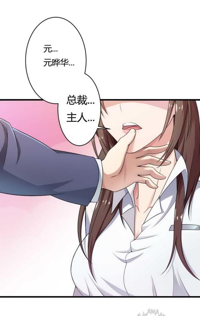 《总裁的私有小秘》漫画最新章节第5话免费下拉式在线观看章节第【27】张图片