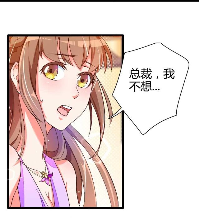 《总裁的私有小秘》漫画最新章节第29话免费下拉式在线观看章节第【13】张图片