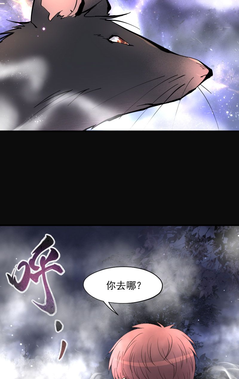 《剃头匠》漫画最新章节第211话免费下拉式在线观看章节第【9】张图片