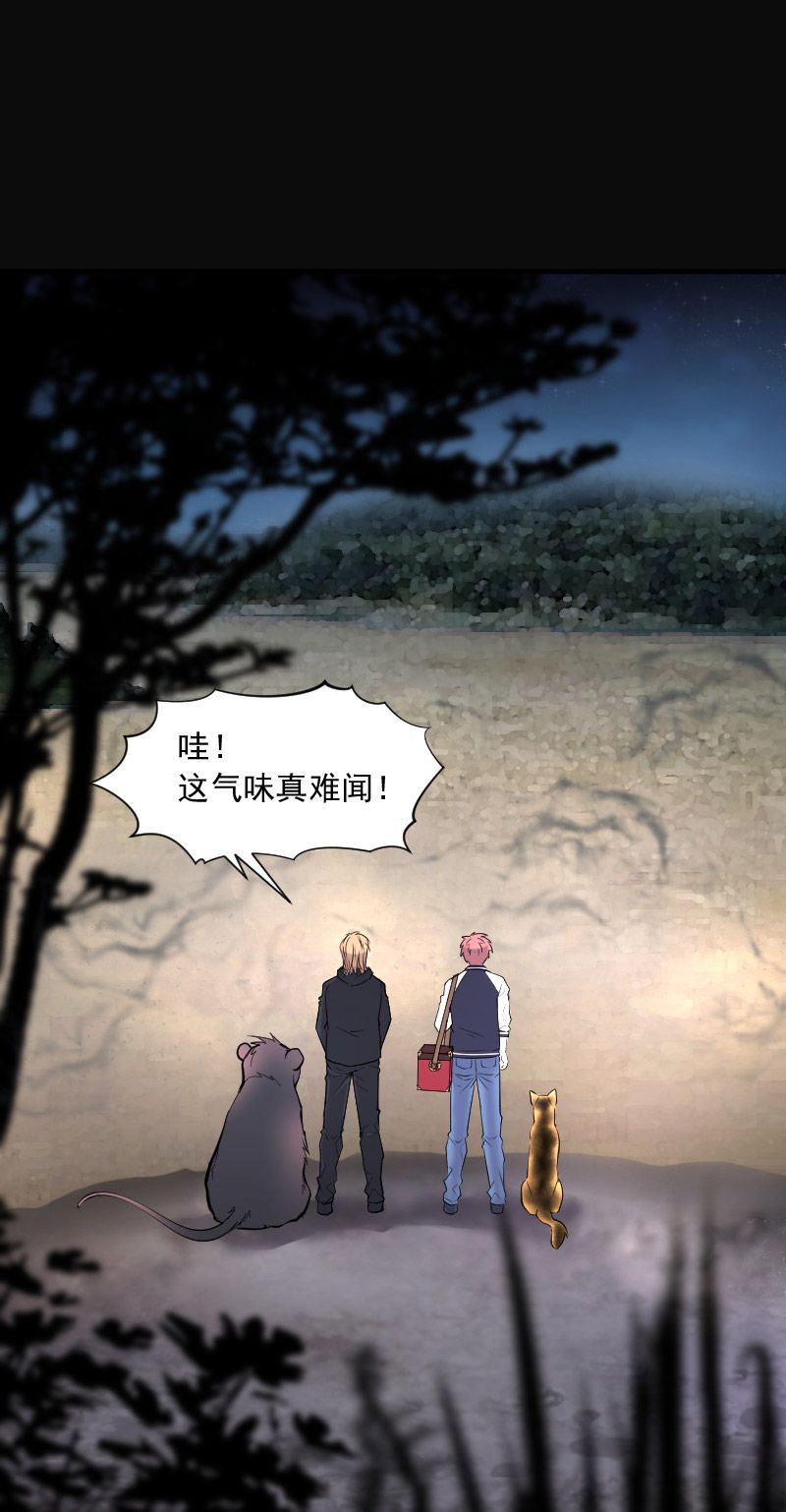 《剃头匠》漫画最新章节第249话免费下拉式在线观看章节第【4】张图片