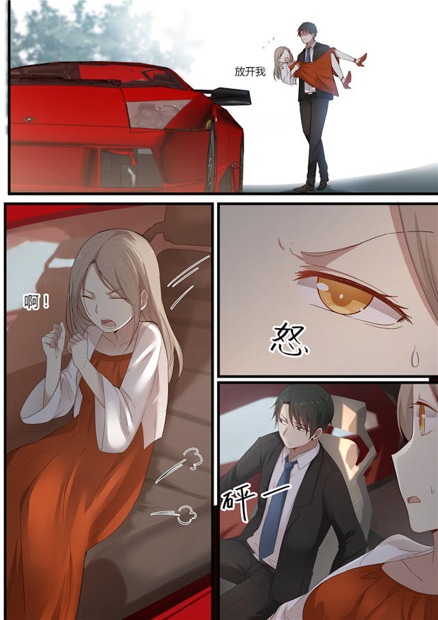 《霸道总裁圈爱记》漫画最新章节第1话免费下拉式在线观看章节第【12】张图片