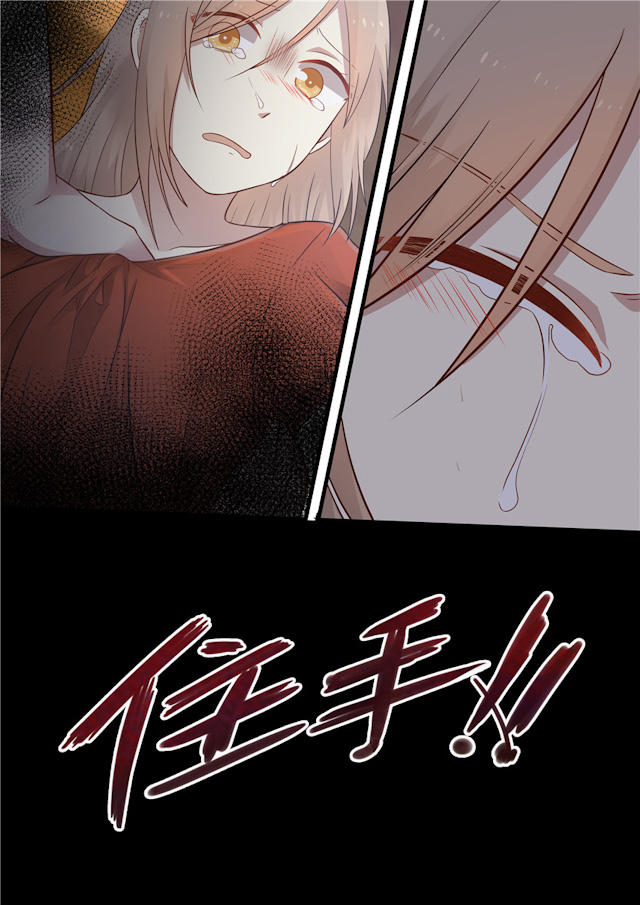 《霸道总裁圈爱记》漫画最新章节第3话免费下拉式在线观看章节第【1】张图片