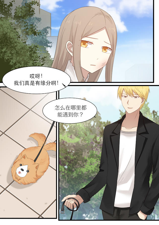 《霸道总裁圈爱记》漫画最新章节第25话免费下拉式在线观看章节第【4】张图片