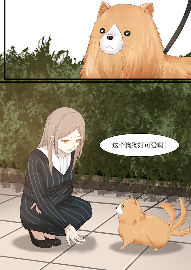 《霸道总裁圈爱记》漫画最新章节第25话免费下拉式在线观看章节第【1】张图片