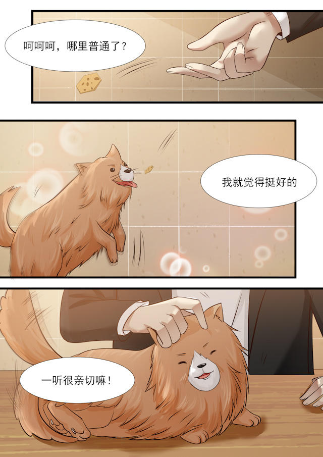 《霸道总裁圈爱记》漫画最新章节第29话免费下拉式在线观看章节第【3】张图片