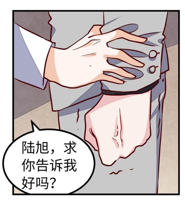 《总裁的天价萌妻》漫画最新章节第74话免费下拉式在线观看章节第【13】张图片