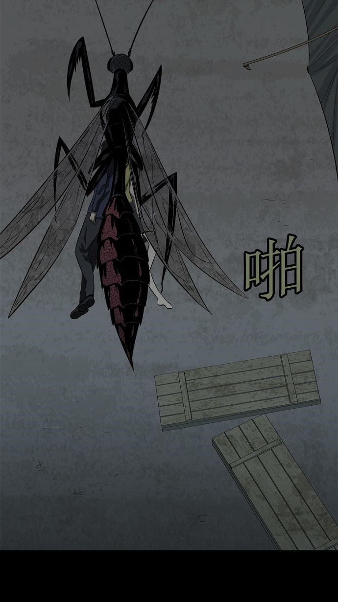 《虫穴》漫画最新章节第29话免费下拉式在线观看章节第【41】张图片