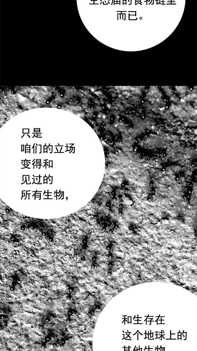 《虫穴》漫画最新章节第34话免费下拉式在线观看章节第【33】张图片