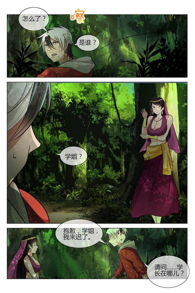 《怪物弹珠》漫画最新章节第12话 谜一样的森林女妖免费下拉式在线观看章节第【7】张图片