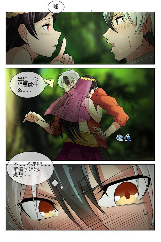 《怪物弹珠》漫画最新章节第12话 谜一样的森林女妖免费下拉式在线观看章节第【6】张图片