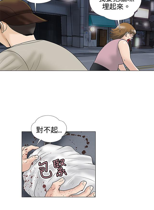 《家庭教师》漫画最新章节第4话 小猫免费下拉式在线观看章节第【12】张图片