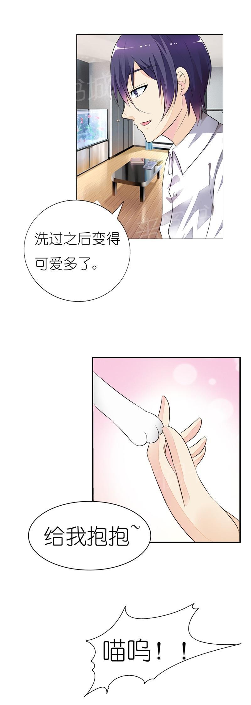 《我还小：狼性老公太凶猛》漫画最新章节第13话免费下拉式在线观看章节第【3】张图片