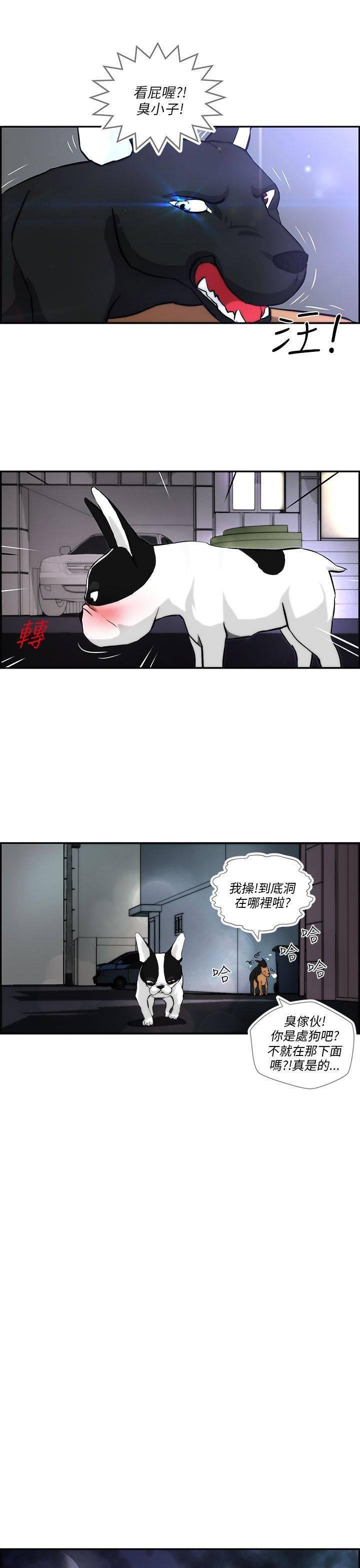 《变成一条狗》漫画最新章节第3话免费下拉式在线观看章节第【17】张图片