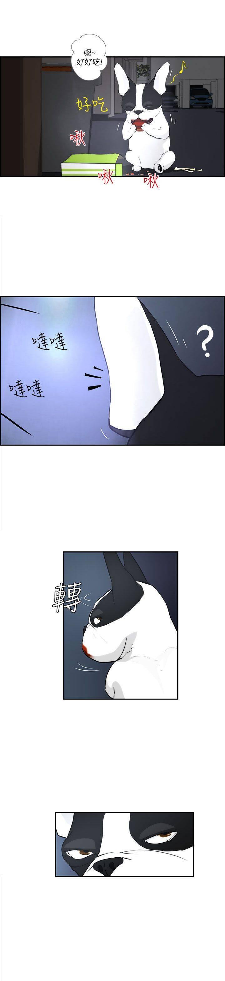 《变成一条狗》漫画最新章节第3话免费下拉式在线观看章节第【13】张图片