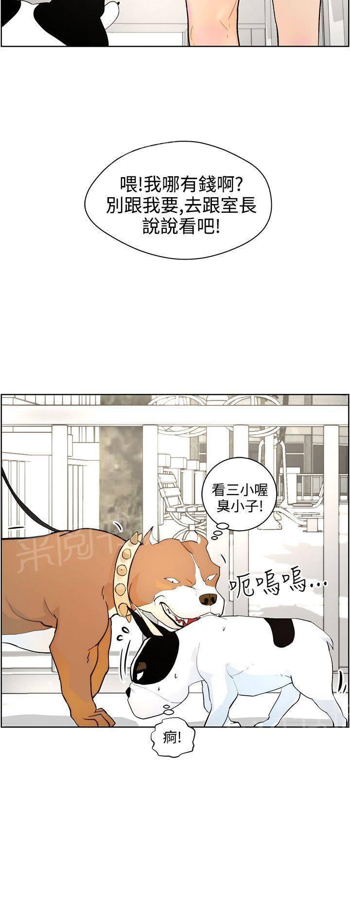 《变成一条狗》漫画最新章节第8话免费下拉式在线观看章节第【20】张图片