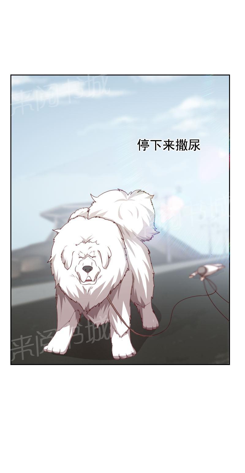 《贴身御医》漫画最新章节第51话免费下拉式在线观看章节第【3】张图片