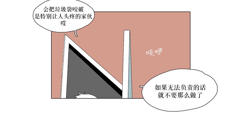 《蝙蝠饲养记》漫画最新章节 第4话 免费下拉式在线观看章节第【40】张图片