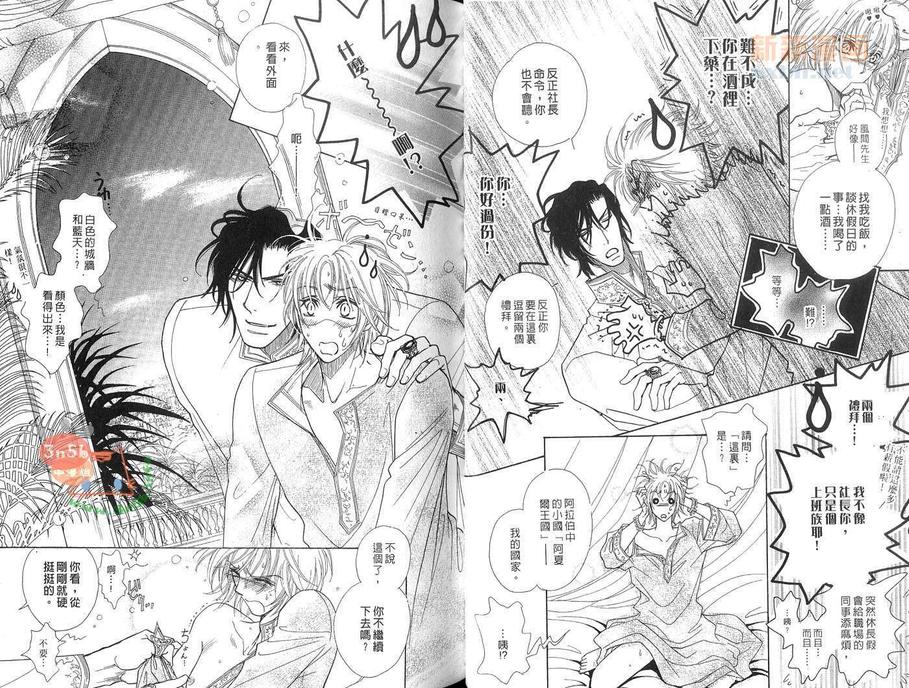 《我的阿拉伯骑士》漫画最新章节 第2话 免费下拉式在线观看章节第【6】张图片