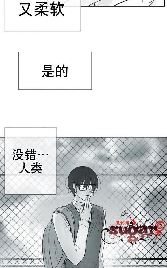 《蛇之舌》漫画最新章节 第22话 免费下拉式在线观看章节第【52】张图片